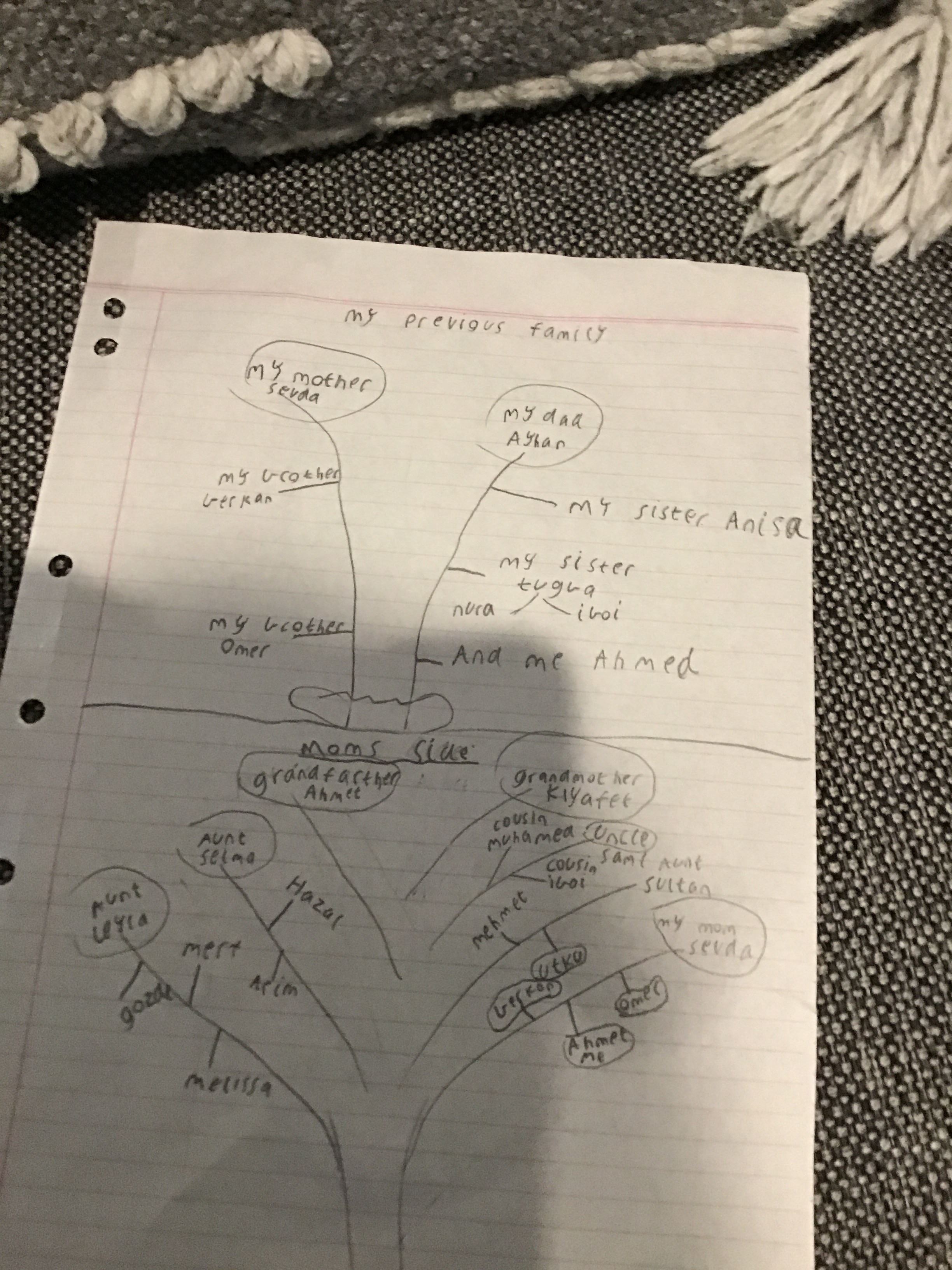 /uploaded_files/media/gallery/1587522691Ahmed family tree.jpg